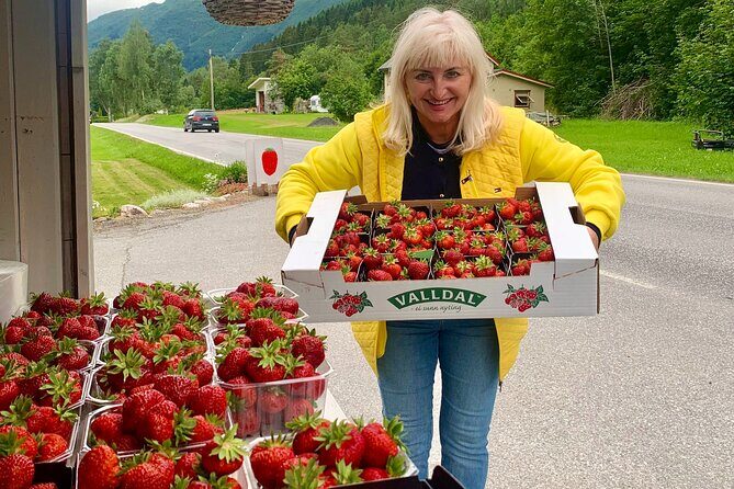 Geiranger-Trollstigen Private Guided Shore Excursion - A Detailed Look at the Itinerary
