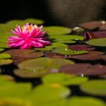 General Admission to Denver Botanic Gardens Ticket - What the Reviews Say