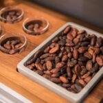 Geneva Chocolate tasting Tour in a Private TaxiBike - Value for Money