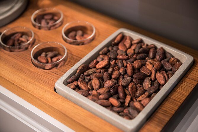 Geneva Chocolate tasting Tour in a Private TaxiBike - Value for Money