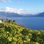 Geneva: Lavaux, Chexbres, and Valais Wine Tasting Tour - What Travelers Are Saying