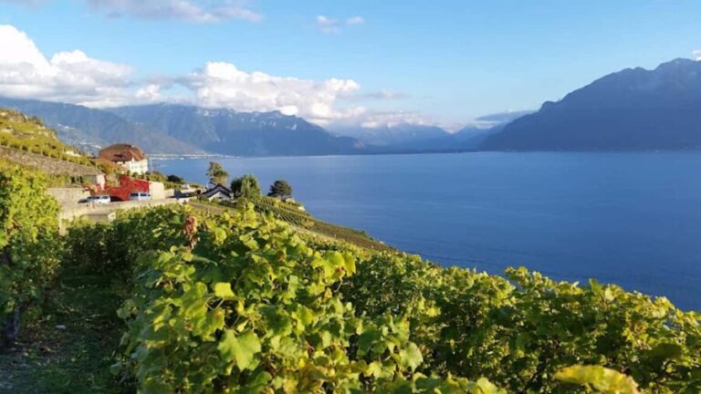 Geneva: Lavaux, Chexbres, and Valais Wine Tasting Tour - What Travelers Are Saying