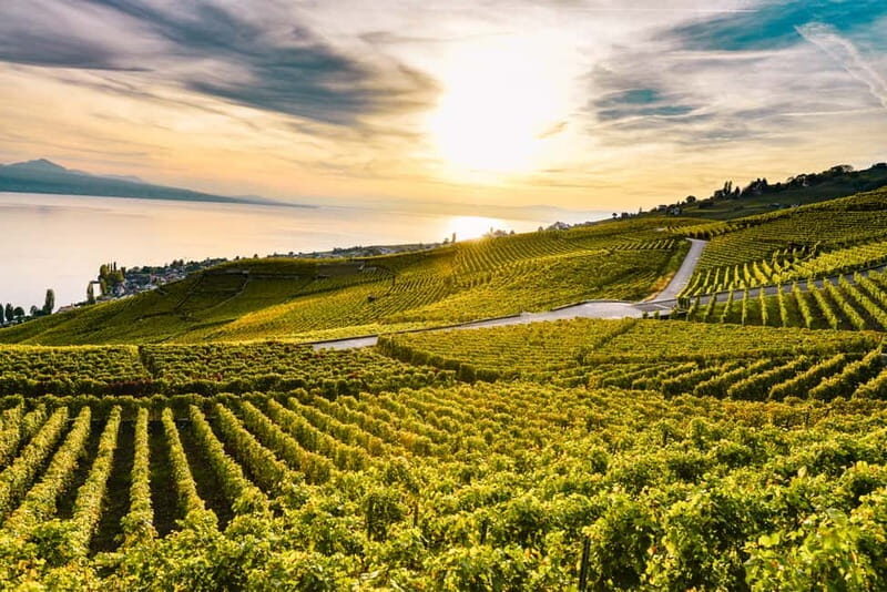 Geneva: Montreux, Chaplins World, Chillon Castle & Apéritif - A Deep Dive into the Experience