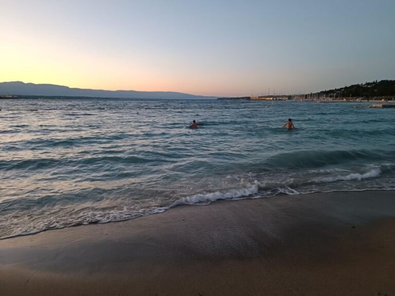 Geneva: Private Walking Tour with a Local Guide - Who Should Consider This Tour?