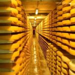 Geneva to Gruyère Private Day Trip. Cheese & Chocolate Tour - Who Should Consider This Tour?