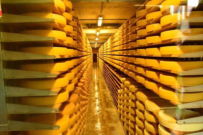 Geneva to Gruyère Private Day Trip. Cheese & Chocolate Tour - Who Should Consider This Tour?