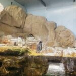 Genoa: Aquarium of Genoa Entry Ticket - Navigating Your Visit