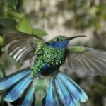 Genoa: Biosfera Entrance Ticket - Whats Included in the Ticket?