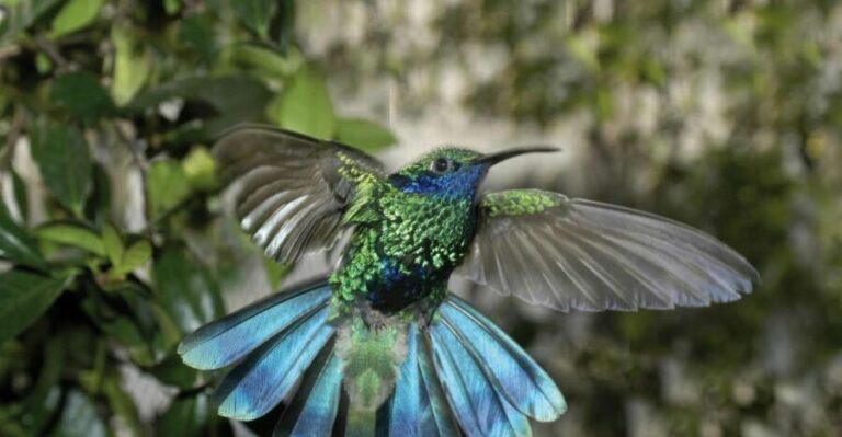 Genoa: Biosfera Entrance Ticket - Whats Included in the Ticket?