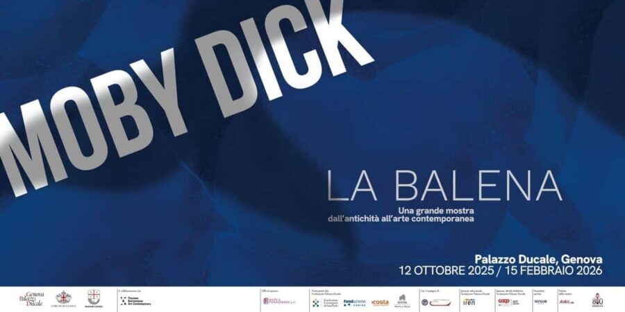 Genoa Palazzo Ducale: Entrance ticket for the Moby Dick - The Whale exhibition. - Practical Details and Tips