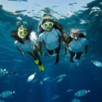 Genoa: snorkeling a stone's throw from downtown - What’s the Experience Like?