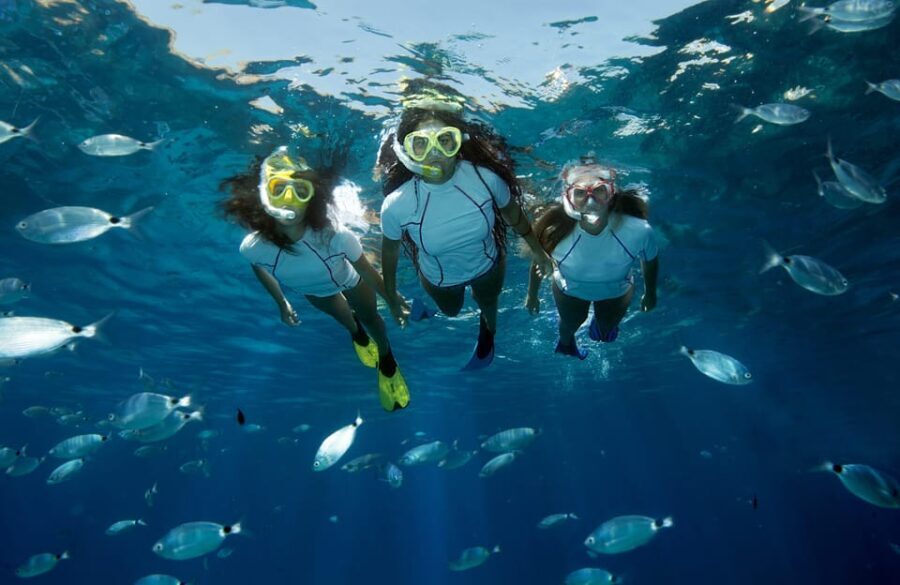 Genoa: snorkeling a stone's throw from downtown - What’s the Experience Like?