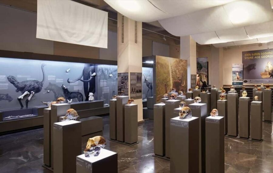 Georgian National Museum Entry Ticket - The Layout and Experience