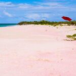 Georgioupolis Area: Full-Day Bus Trip to Elafonisi Island - What Makes Elafonisi Special