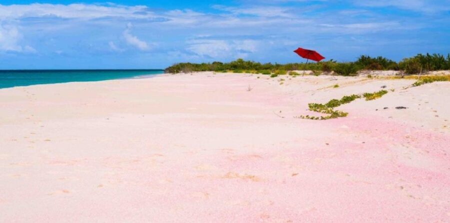 Georgioupolis Area: Full-Day Bus Trip to Elafonisi Island - What Makes Elafonisi Special