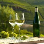 German Wine Self-Guided Tour in Munich's Old Town Wine Bars - Why You’ll Love This Wine Experience in Munich