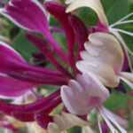 Get to know South Moravia with us. 6 hour tour. - Who Would Love This Tour?