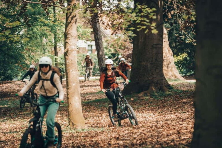 Ghent: Green Snake E-Step Tour with Local Guide - Who Would Love This Tour?