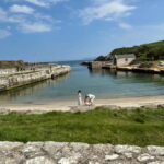 Giants Causeway 4 Hour Private Tour - The Itinerary: What to Expect on This Tour