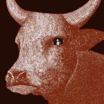 Giara Horse Museum Entry Ticket - A Practical Look at the Giara Horse Museum Experience