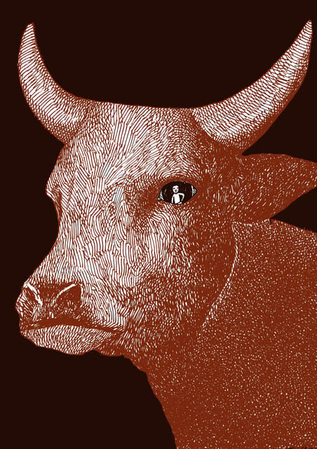 Giara Horse Museum Entry Ticket - A Practical Look at the Giara Horse Museum Experience