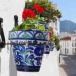 Gibraltar and Mijas town Day Trip with Free Time from Málaga - Who Should Consider This Tour?