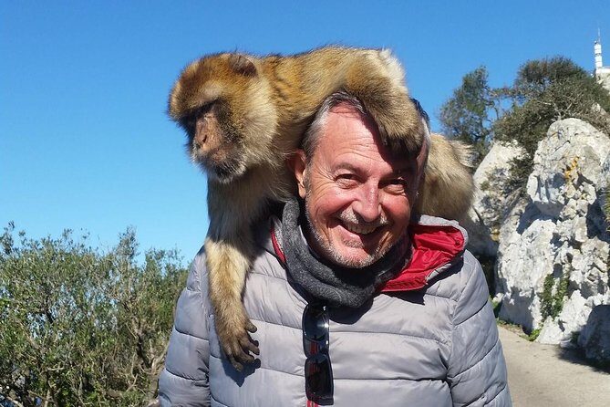 Gibraltar Day Trip from Seville + Rock Tour - Who Is This Tour Best For?