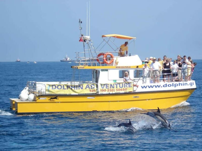 Gibraltar: Dolphin Watching Tour - The Itinerary: What to Expect
