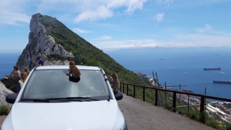 Gibraltar Sightseeing: Private Classic Tour with a Local - The Itinerary in Detail