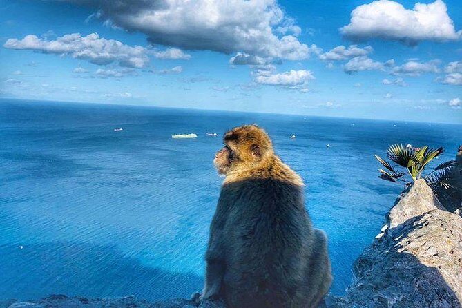 Gibraltar Sightseeing Private Full Day Shore Excursion - Who Is This Tour Best For?