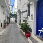 Gibraltar to Tangier All Inclusive Day Trip - Authentic Insights from Reviews