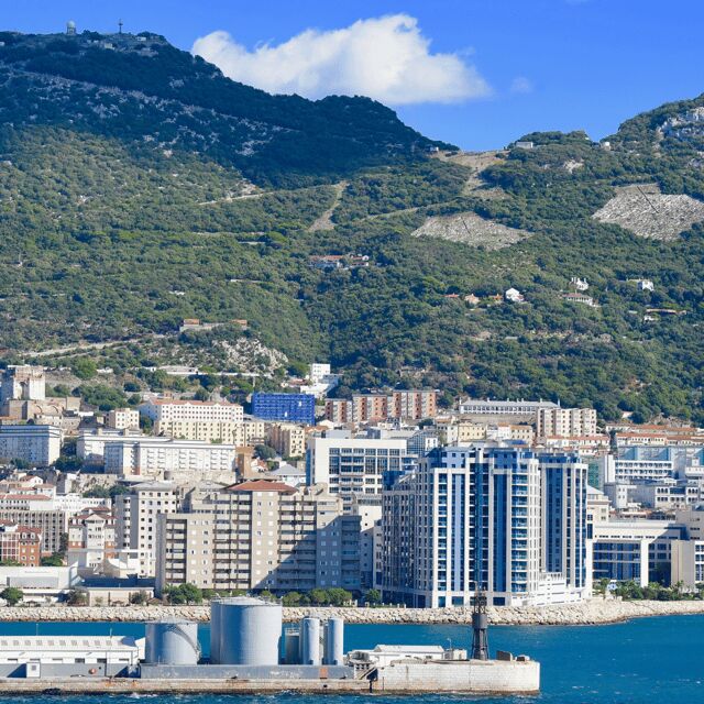 Gibraltar: Tour guiado desde la Costa Del Sol - What Reviewers Are Saying