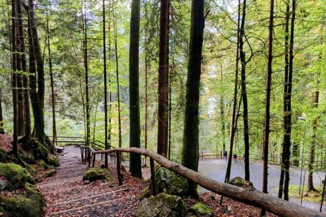 Giessbach Waterfall + CLOY Pier Iseltwald Sightseeing Tour Privat - What Travelers Say