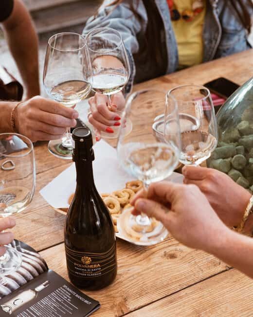 Gioia del Colle: Light Lunch and Wine Tasting in the Cellar - The Practical Side: Pricing and Logistics