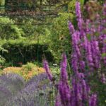 Giverny Private Guided Walking Tour - What to Expect from the Tour