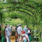 Giverny Private Half-Day Trip including Claude Monet' Gardens & House from Paris - Authentic Perspectives from Other Travelers
