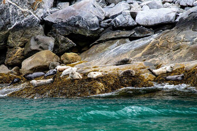 Glacier Point Wilderness Safari - Practical Details and What to Expect