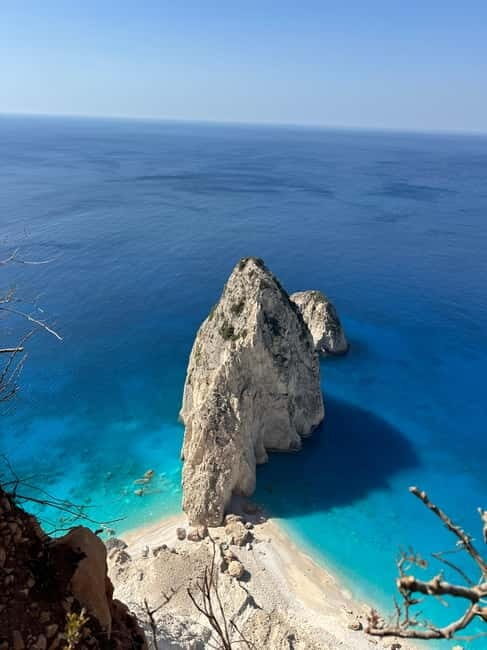 Glass boat cruises to spot turtles - What Youll Love About This Experience