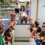 Glass boat tour Faana with swimming stop - Authentic Experiences and Real Guest Impressions