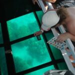 Glass-Bottom Boat Cruise from Waikoloa - The Itinerary: A Closer Look