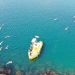 Glass Bottom Boat Ride in Redondo Beach - What You Can Expect from the Tour