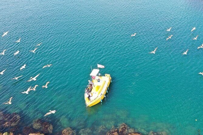 Glass Bottom Boat Ride in Redondo Beach - What You Can Expect from the Tour