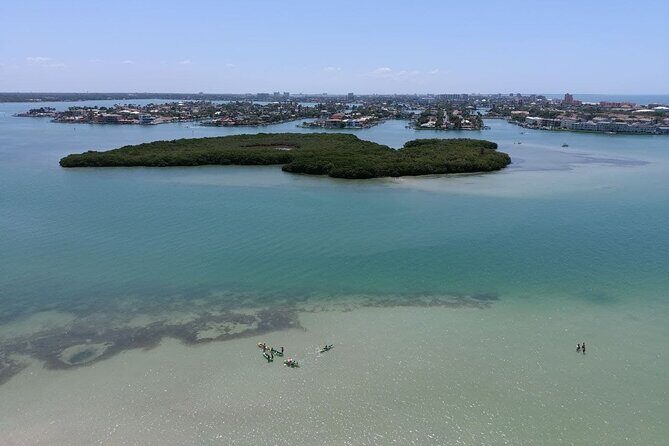 Glass Bottom Kayak Mangrove & Sandbar Adventure in St. Pete Beach - Considerations & Downsides