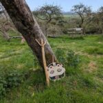 Glastonbury: Guided Tour of Avalon with Celtic Shaman - What’s Included and What’s Not