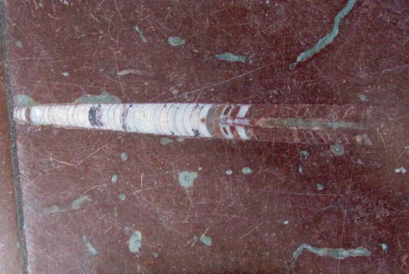 Gniezno Tour and Polish Food Experience - Who Should Consider This Tour?