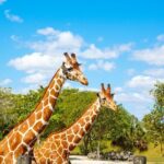 Go City: Miami Explorer Pass - Choose 2, 3, 4 or 5 Attractions - The Attractions Youll Love