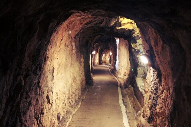 Go Tours 360° Experience in Gibraltar with Professional Guide - What Makes This Tour Stand Out