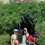 Godfather Tour Cinematic Journey through Al Pacino's sets - Transportation, Group Size, and Overall Experience