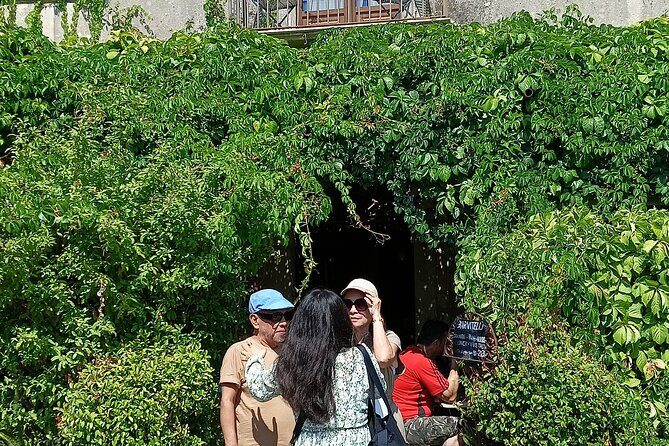 Godfather Tour Cinematic Journey through Al Pacino's sets - Transportation, Group Size, and Overall Experience