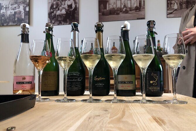 Gold Champagne Experience from Reims (Private Full day tour) - What We Loved and What to Consider